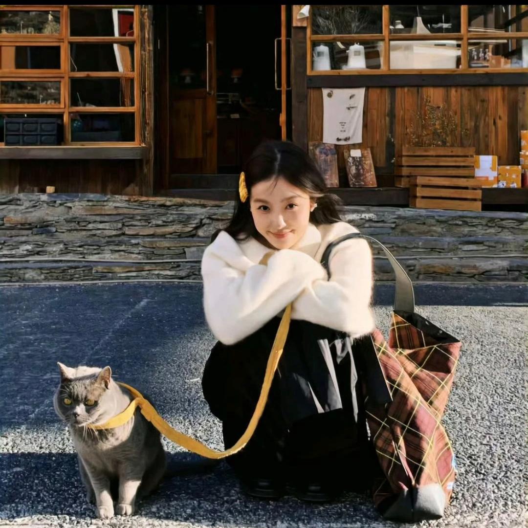 霉莉猫.