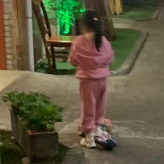 豆奶的开心果