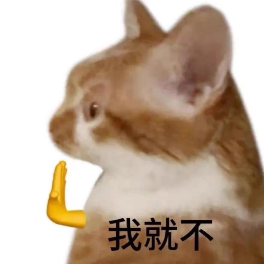 阳阳羊