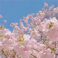 脑袋空空