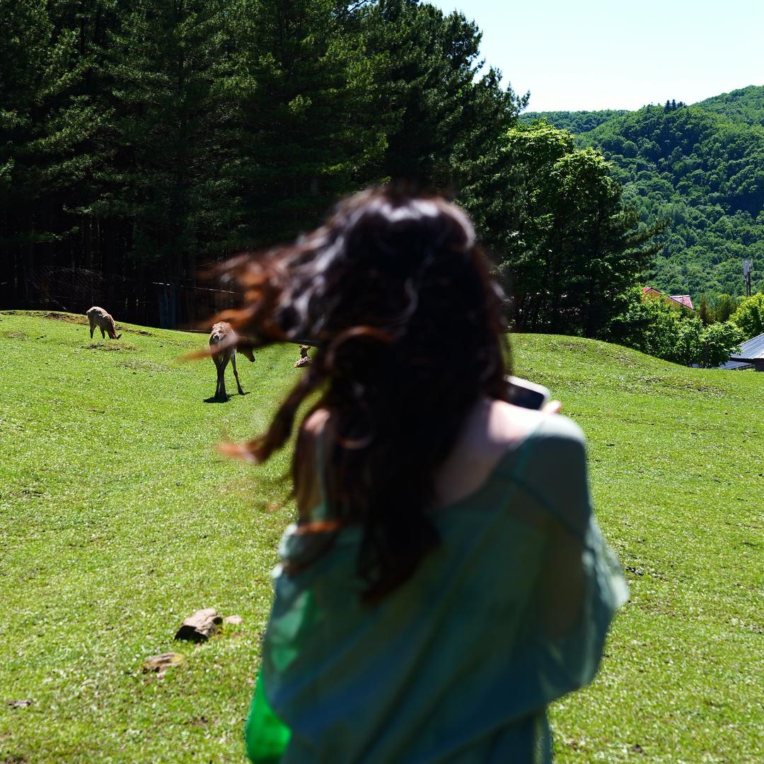 伊春旅游小喇叭