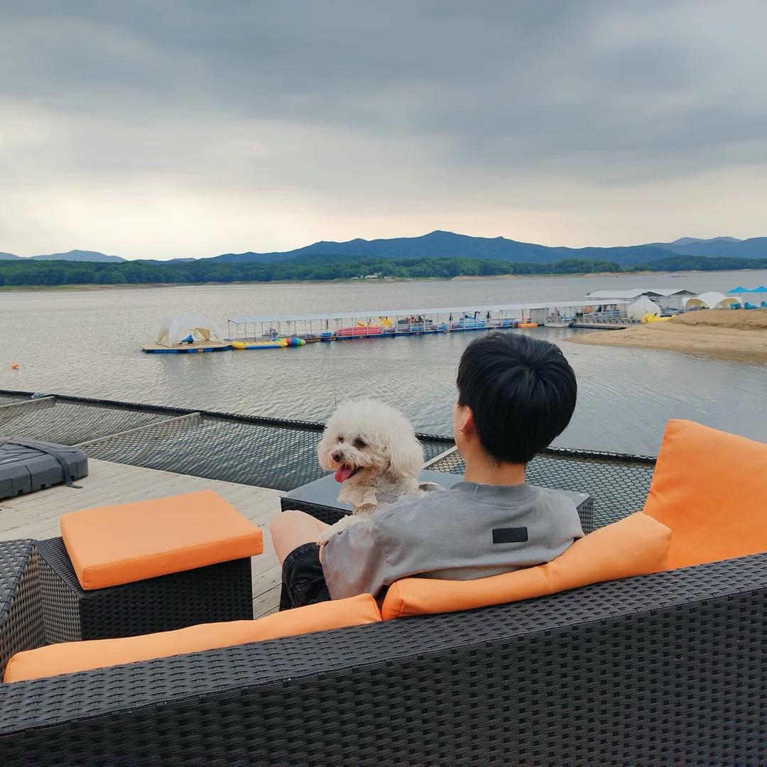 刘少的宠物狗🐶