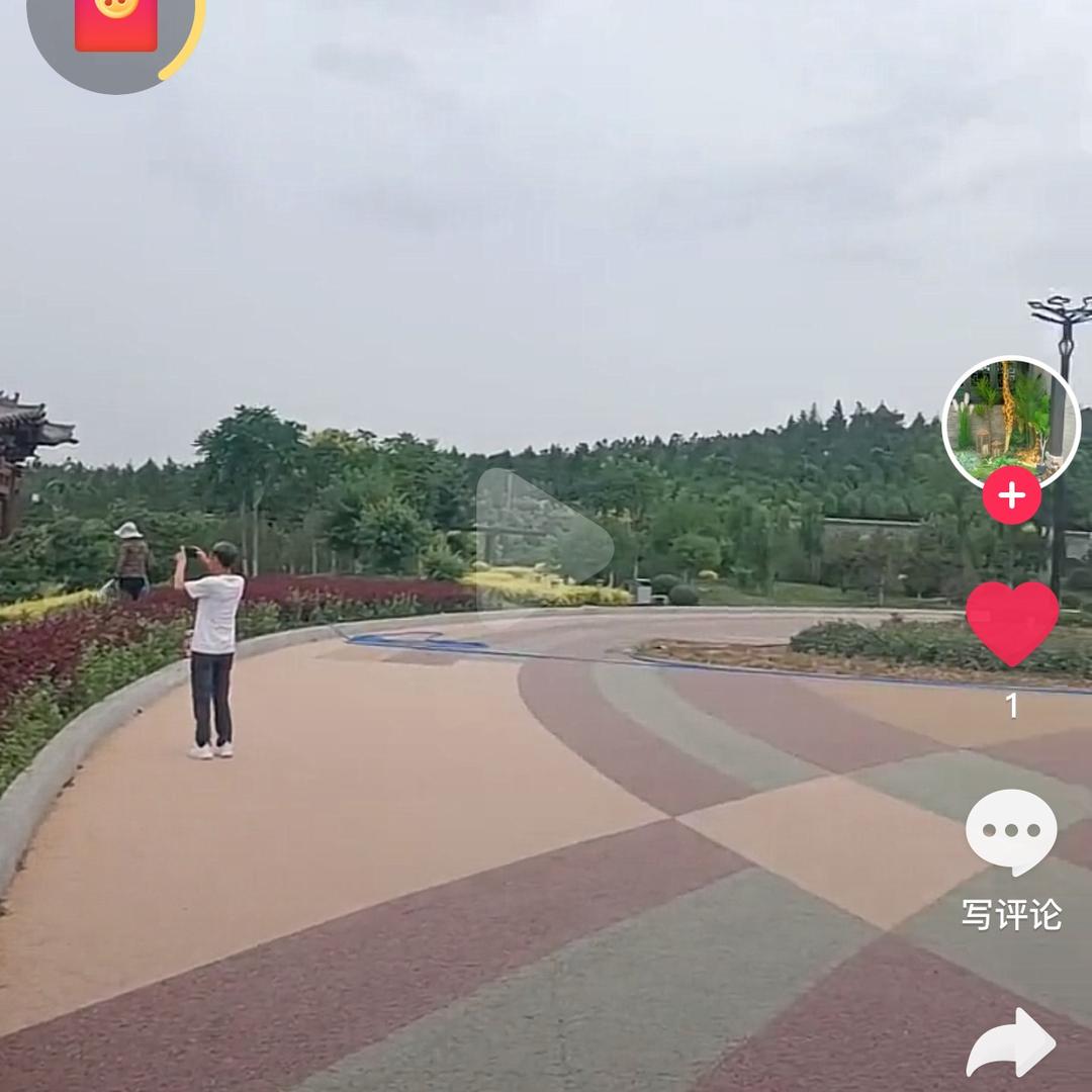 施先生