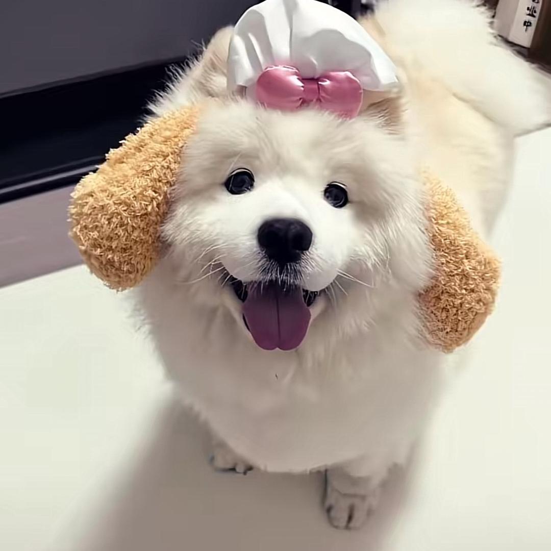 一起去看海吗