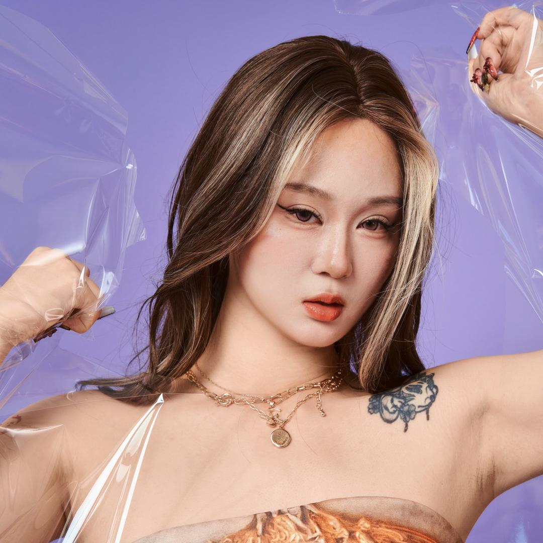 Claire黑狗