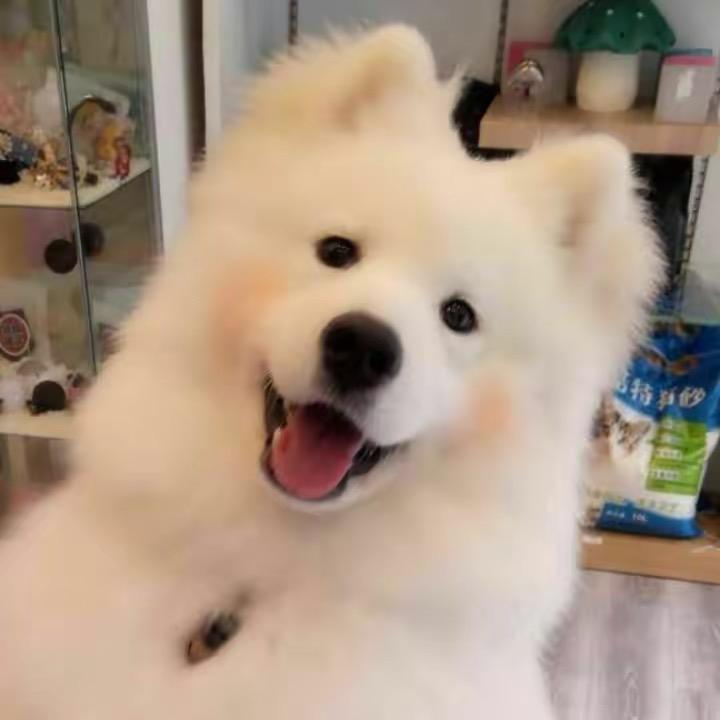 ゞ白衣少年シ°