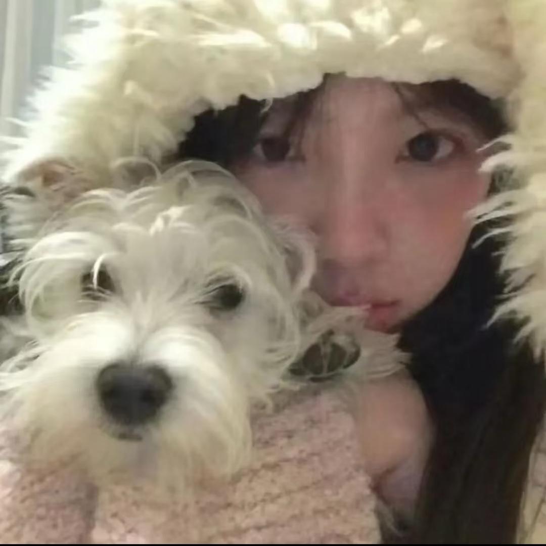 小鱼糕糕💤