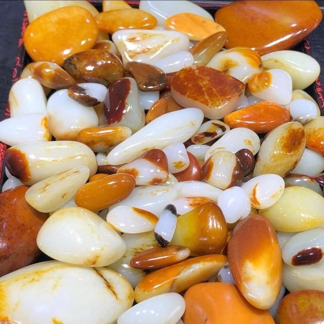 籽玉缘顺01