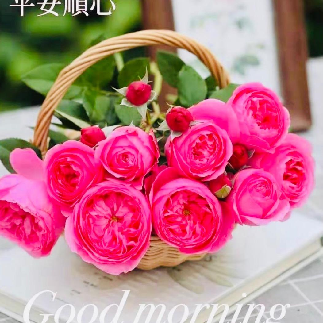 与世无争