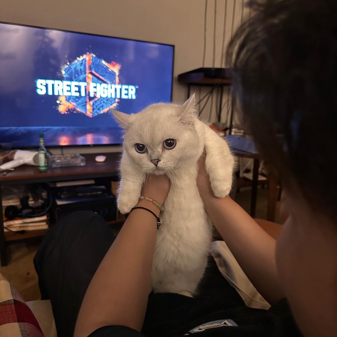 zZZZZzZzZ