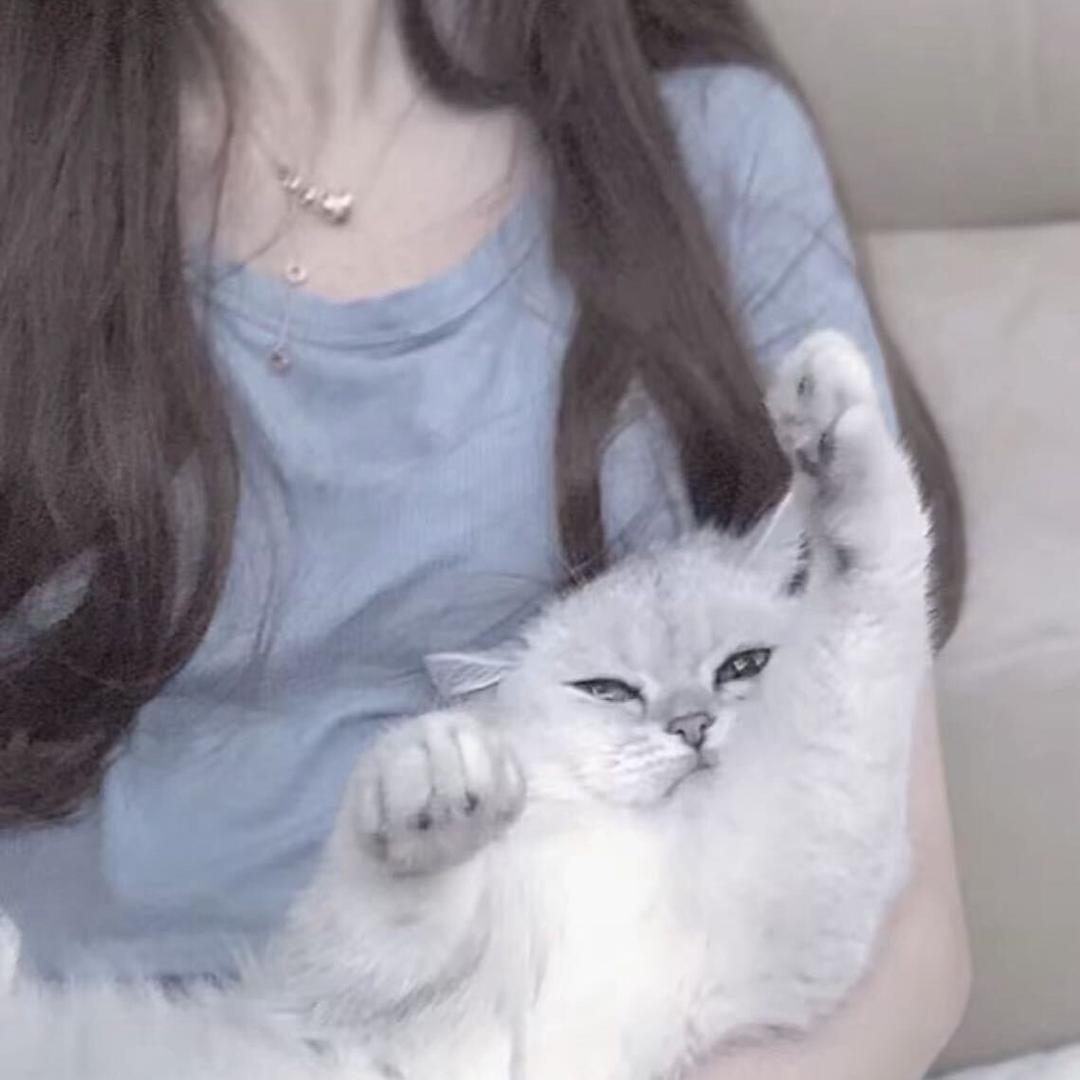 悸动             ❔