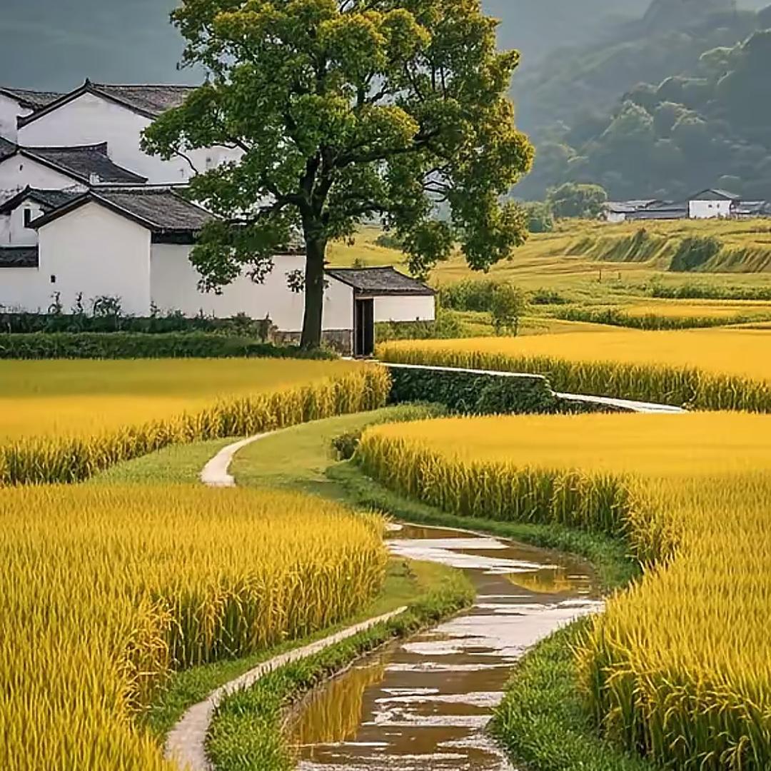 人间烟火（艳妹）