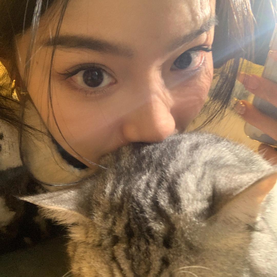 冰冰猪