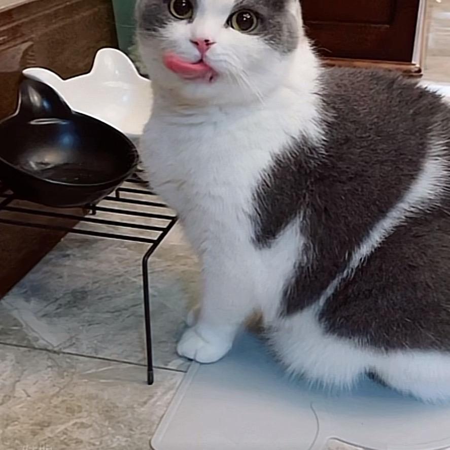 圆圆姥姥