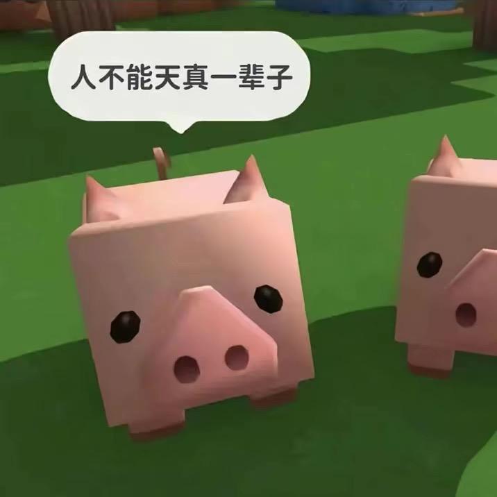 从不穿秋裤