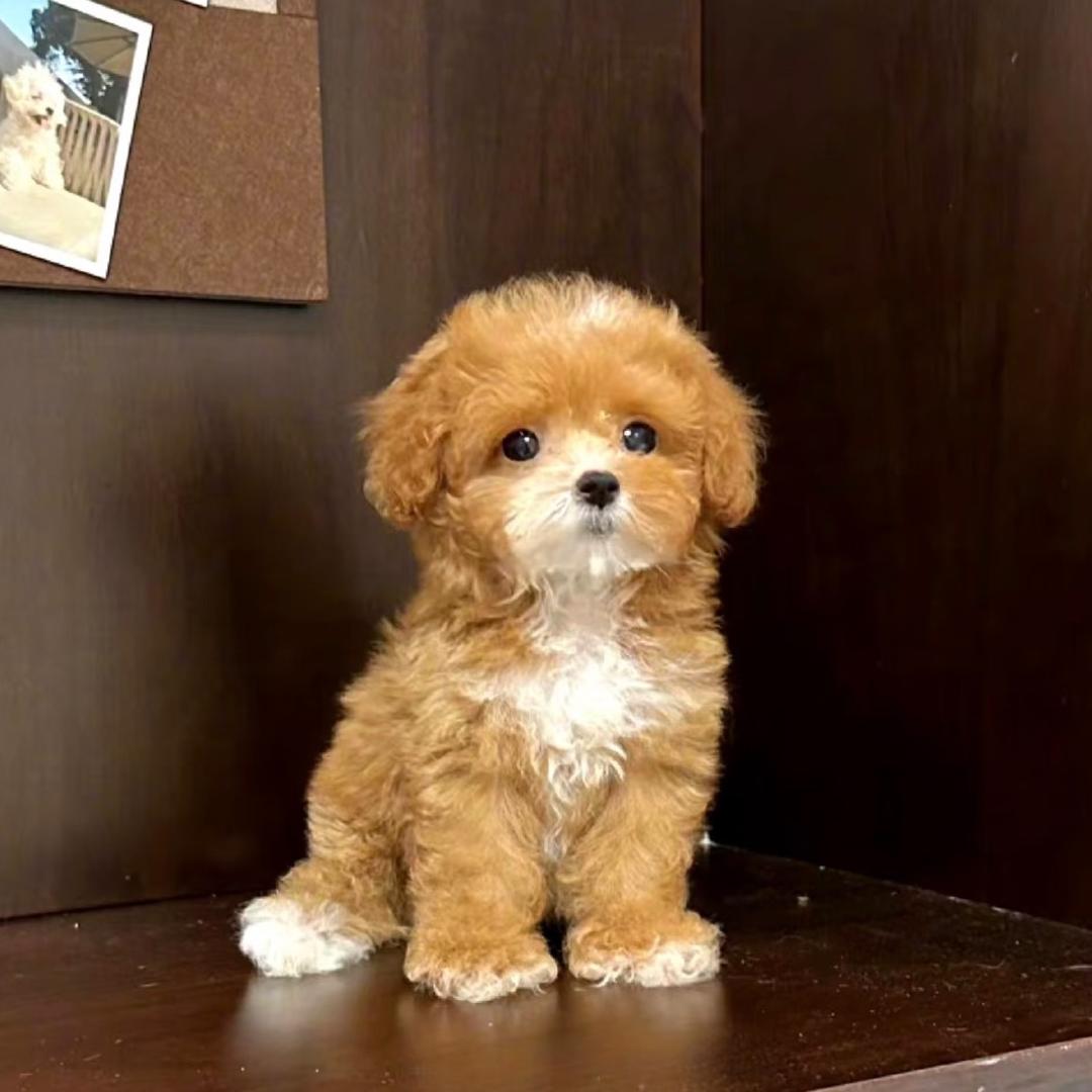下锅炖肉