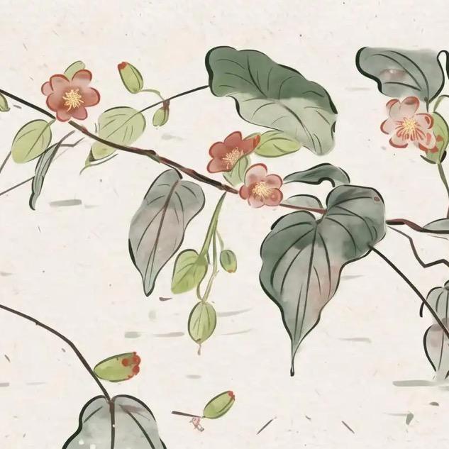 原创女装