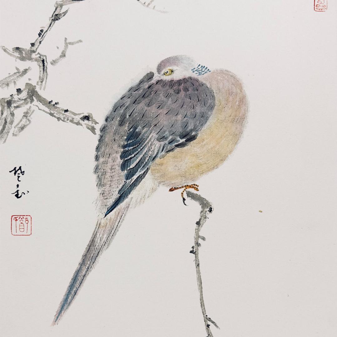 国画教师楚钊