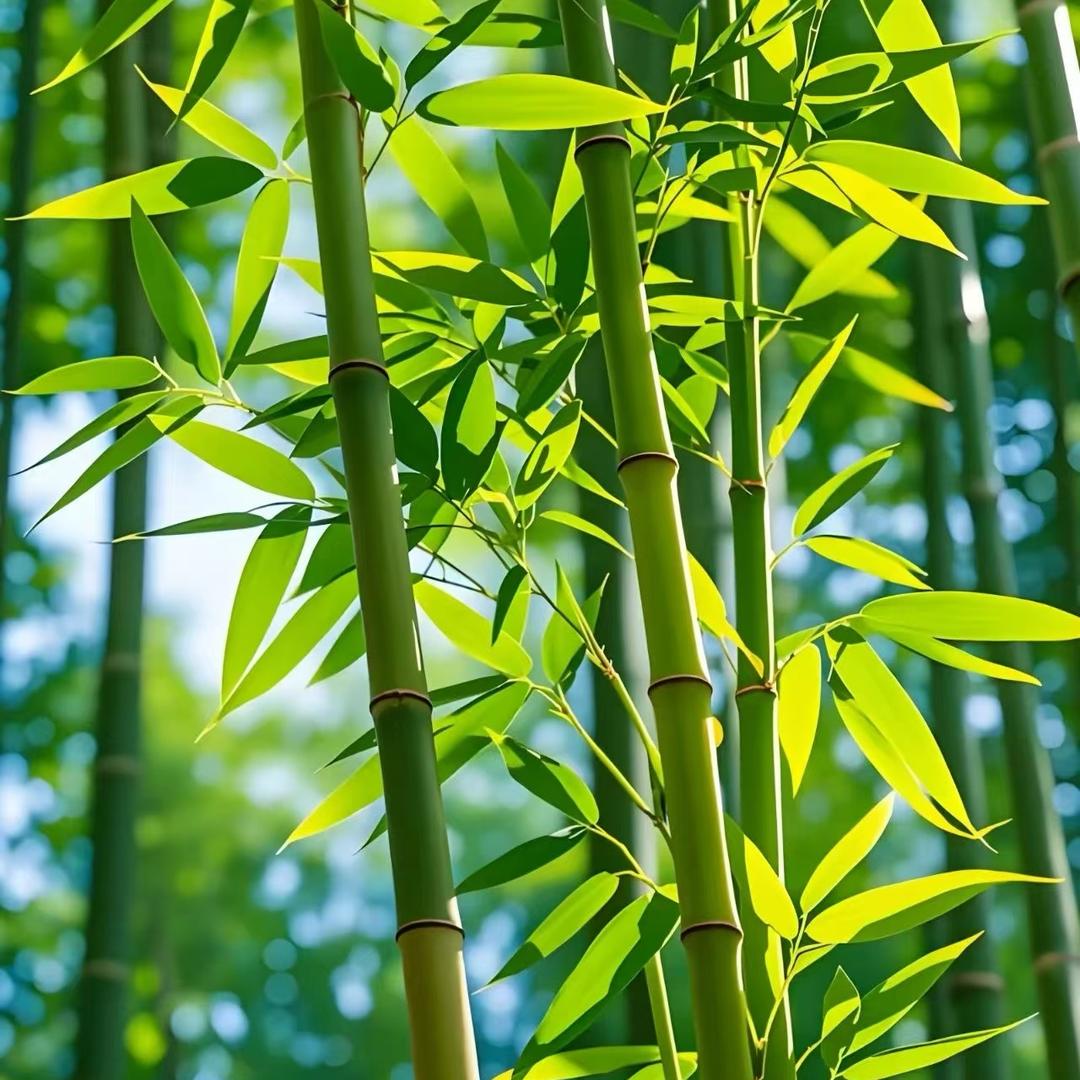 赵漂亮❤️