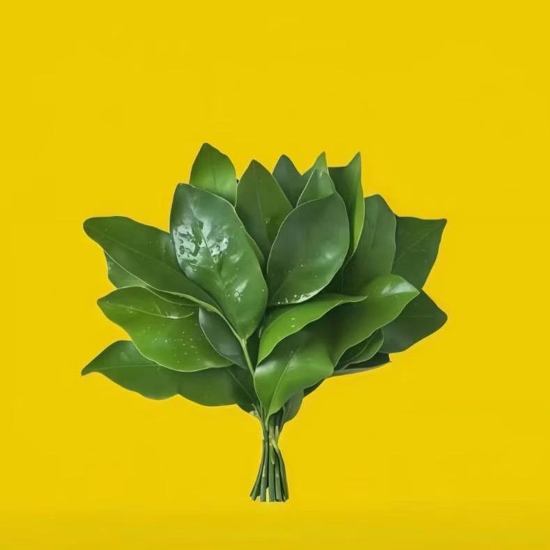 超爱双双🍀🍀🍀