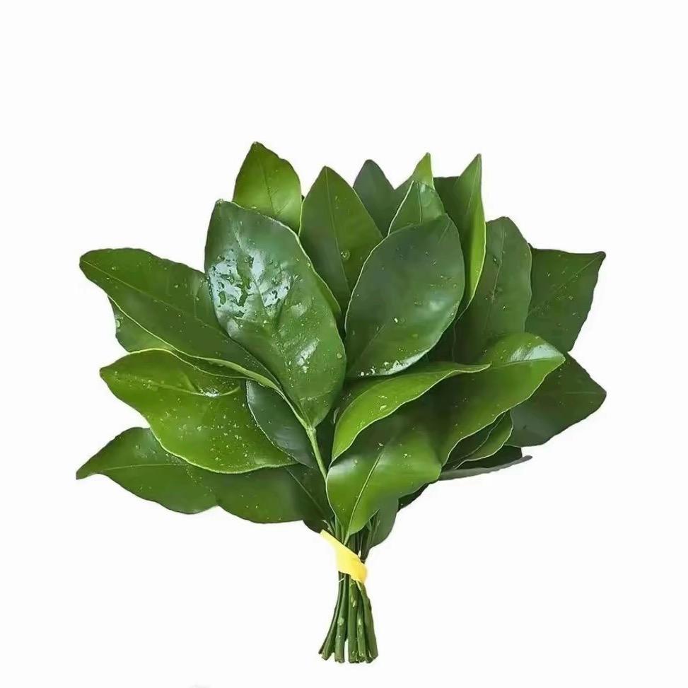 不要再掉头发la🥨