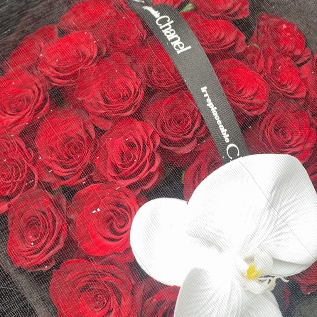 🌻九月💕木子❤️