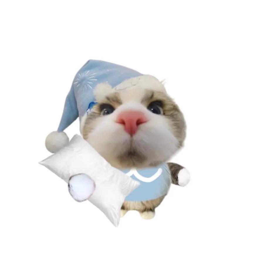 恨我太天真