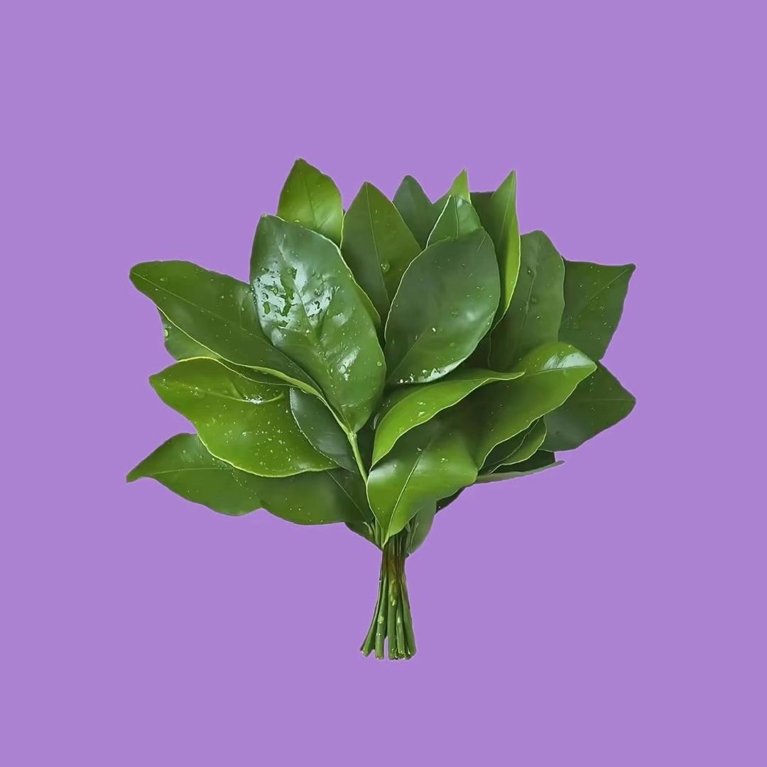 东妮