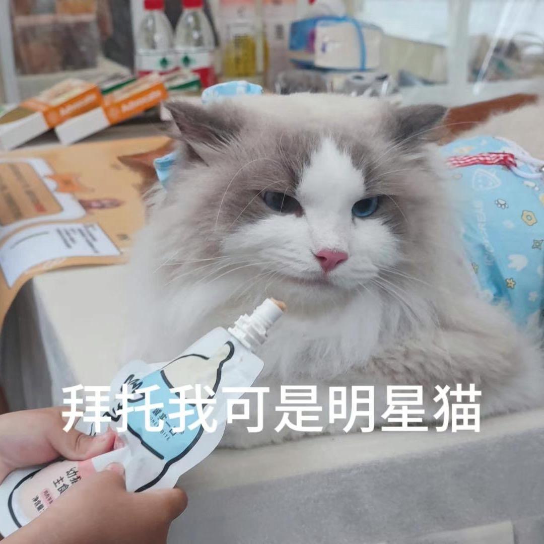 帅帅不叫帅