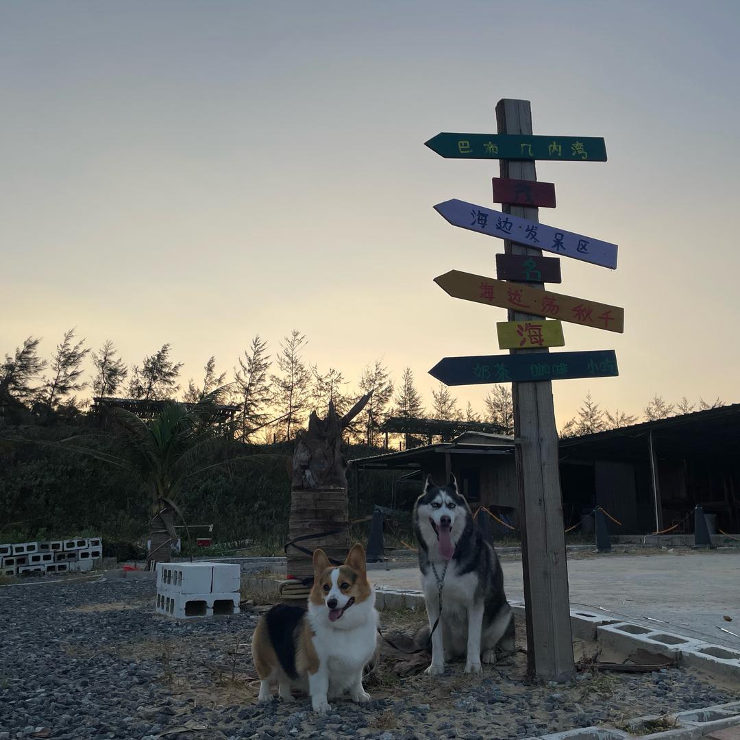 吴所为女士简称吴所🙋🏻‍♀️