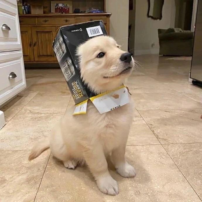 DvemiY⁹