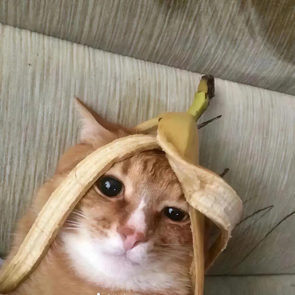 老二PUBG（抗毒）