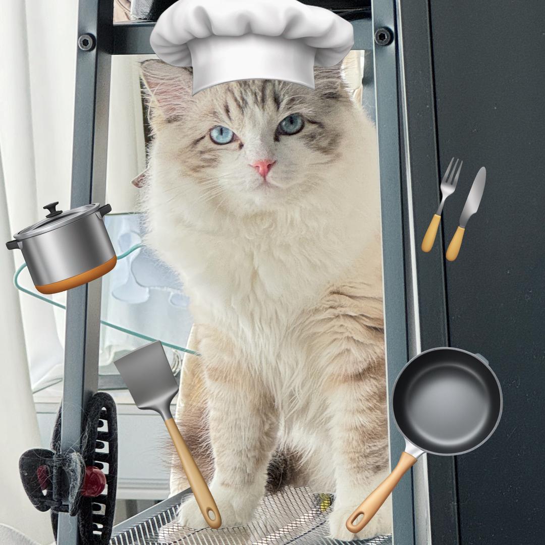 钓鱼要到岛上钓