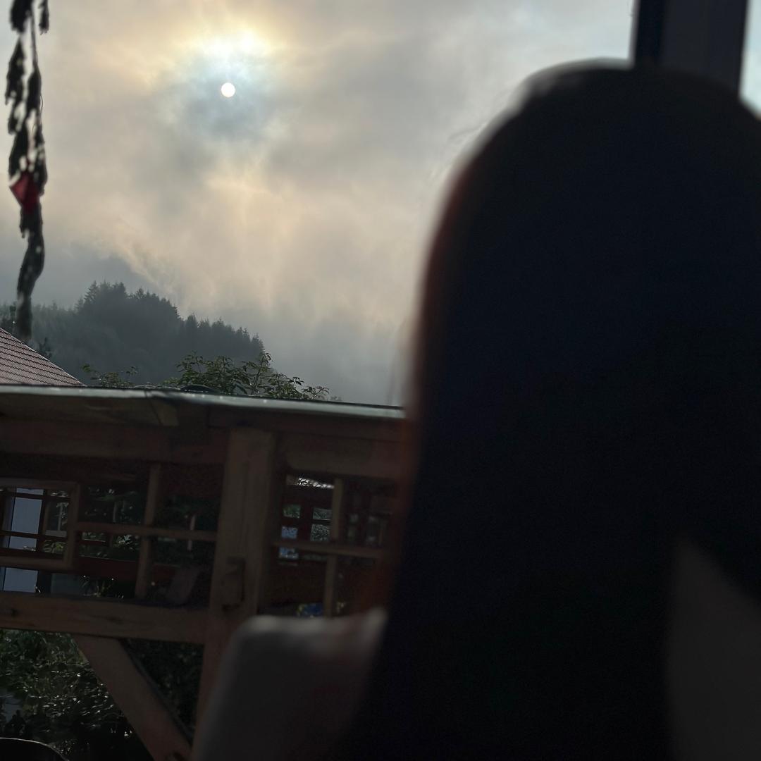 辽宁第一女深情~