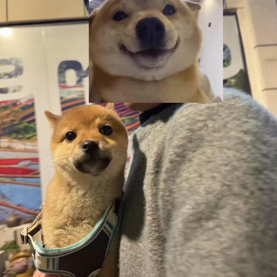 😎