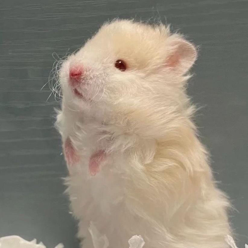 欧阳宠物优品馆