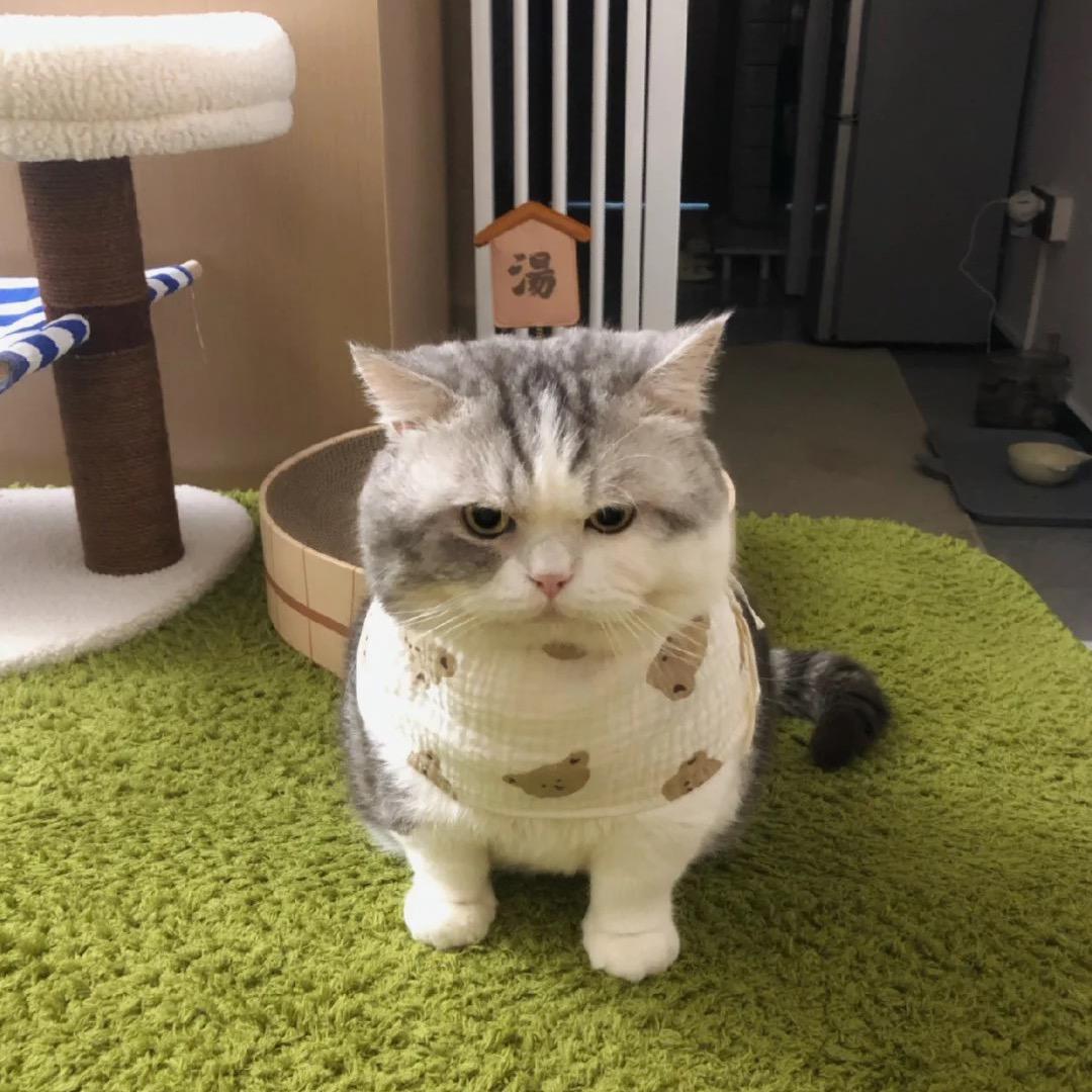 好好（黑铁玩家）