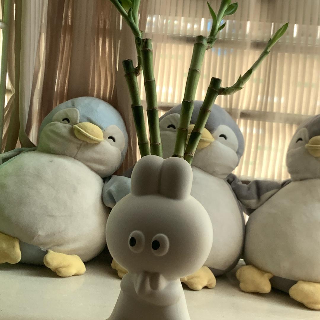 团团小团子🍡
