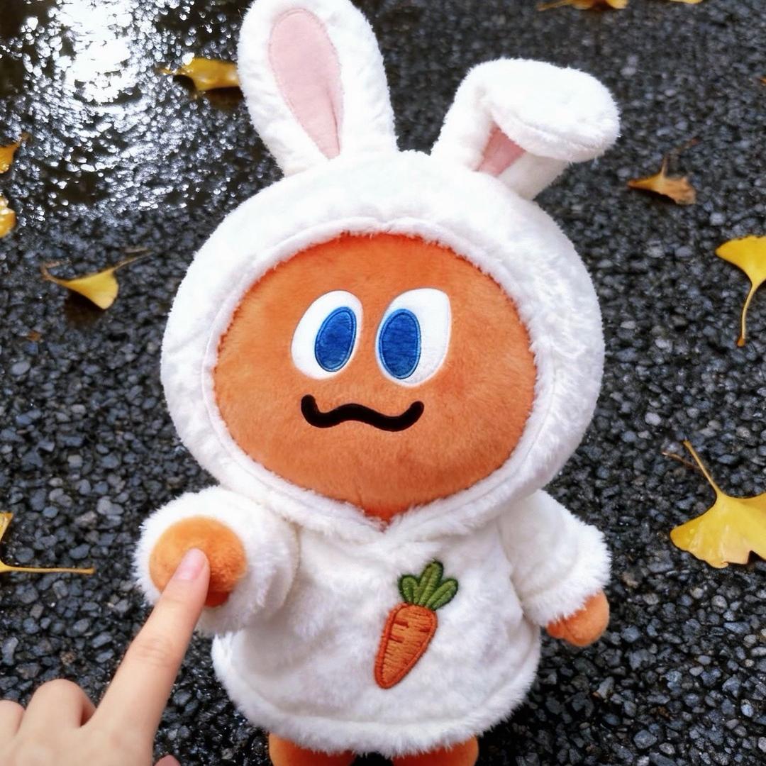 今天只吃一顿饭🥕
