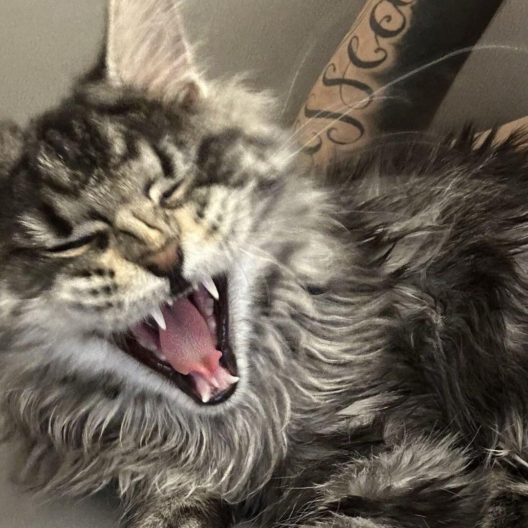 咖啡教学-澳门仔