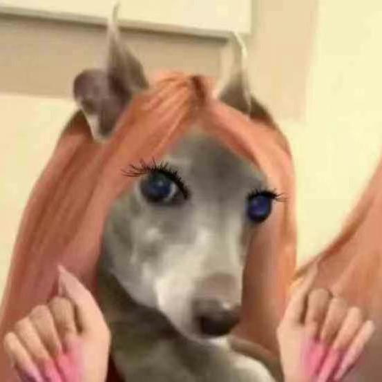 爱吃大饼卷甜面酱