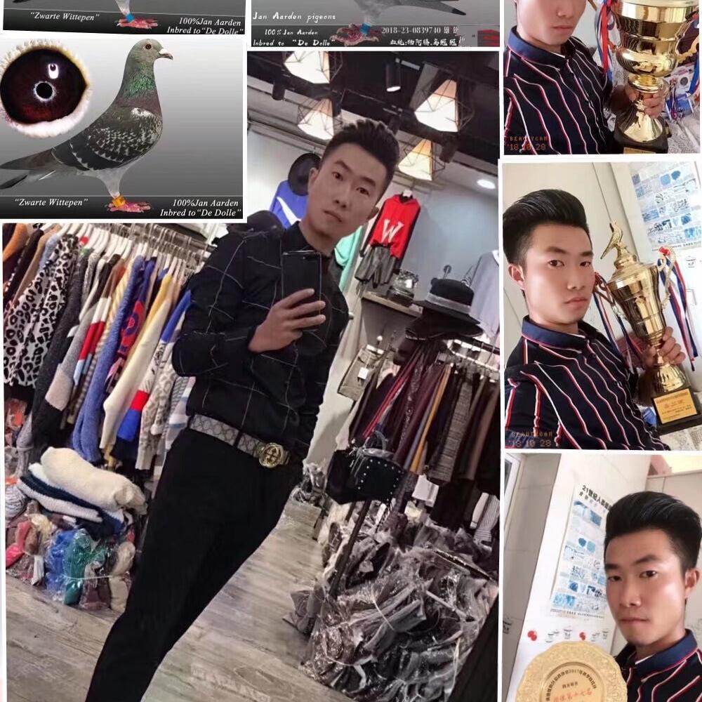 小杨诚信鸽业