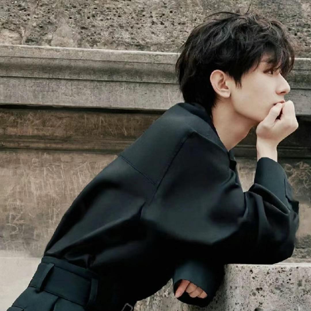 林黛玉倒拔鲁智深的垂杨柳