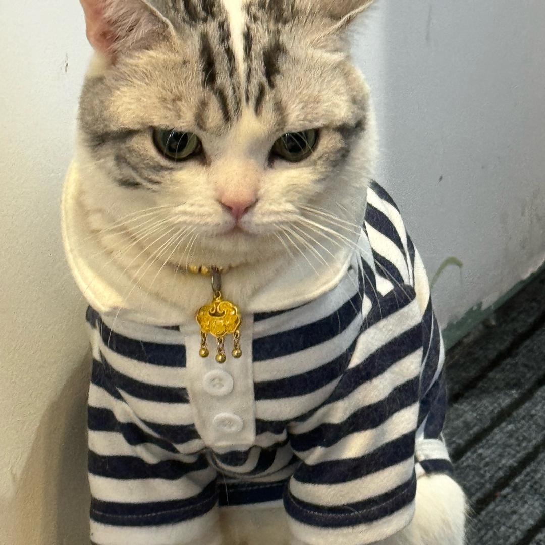 龙华