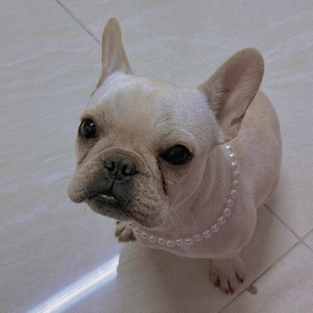 来碗母鸡汤