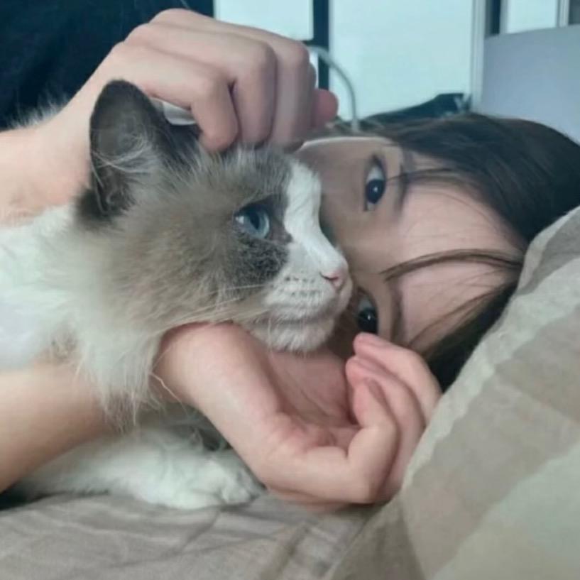 想听你说晚安·