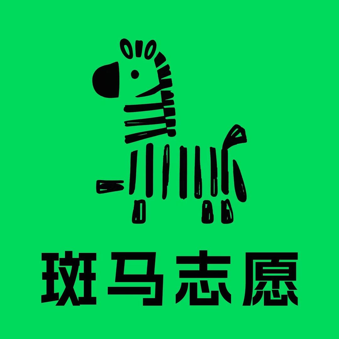 斑马志愿（临沂）王老师