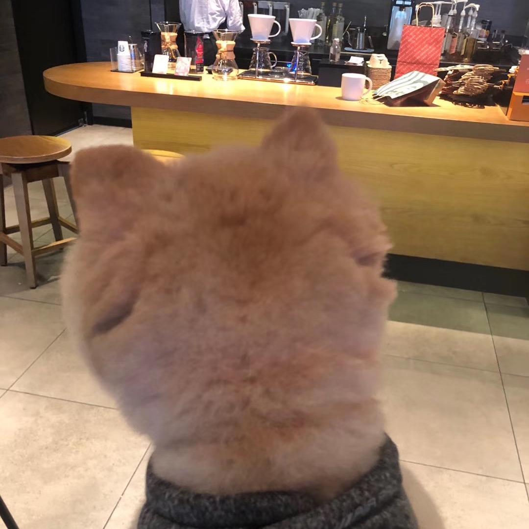 哒哒
