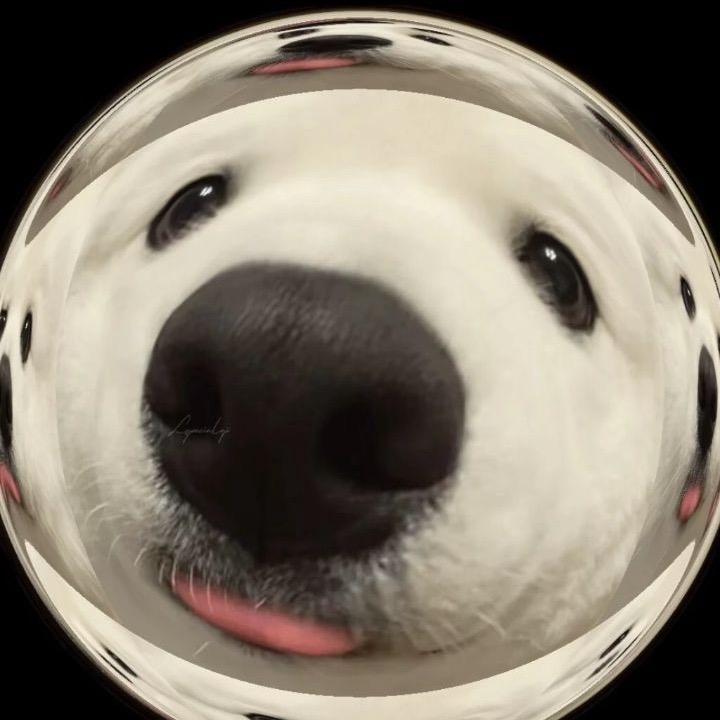 烤冷面不冷