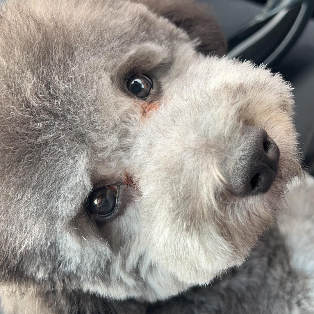 慕秦